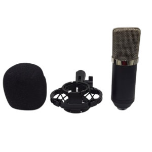 Condenser Microphone